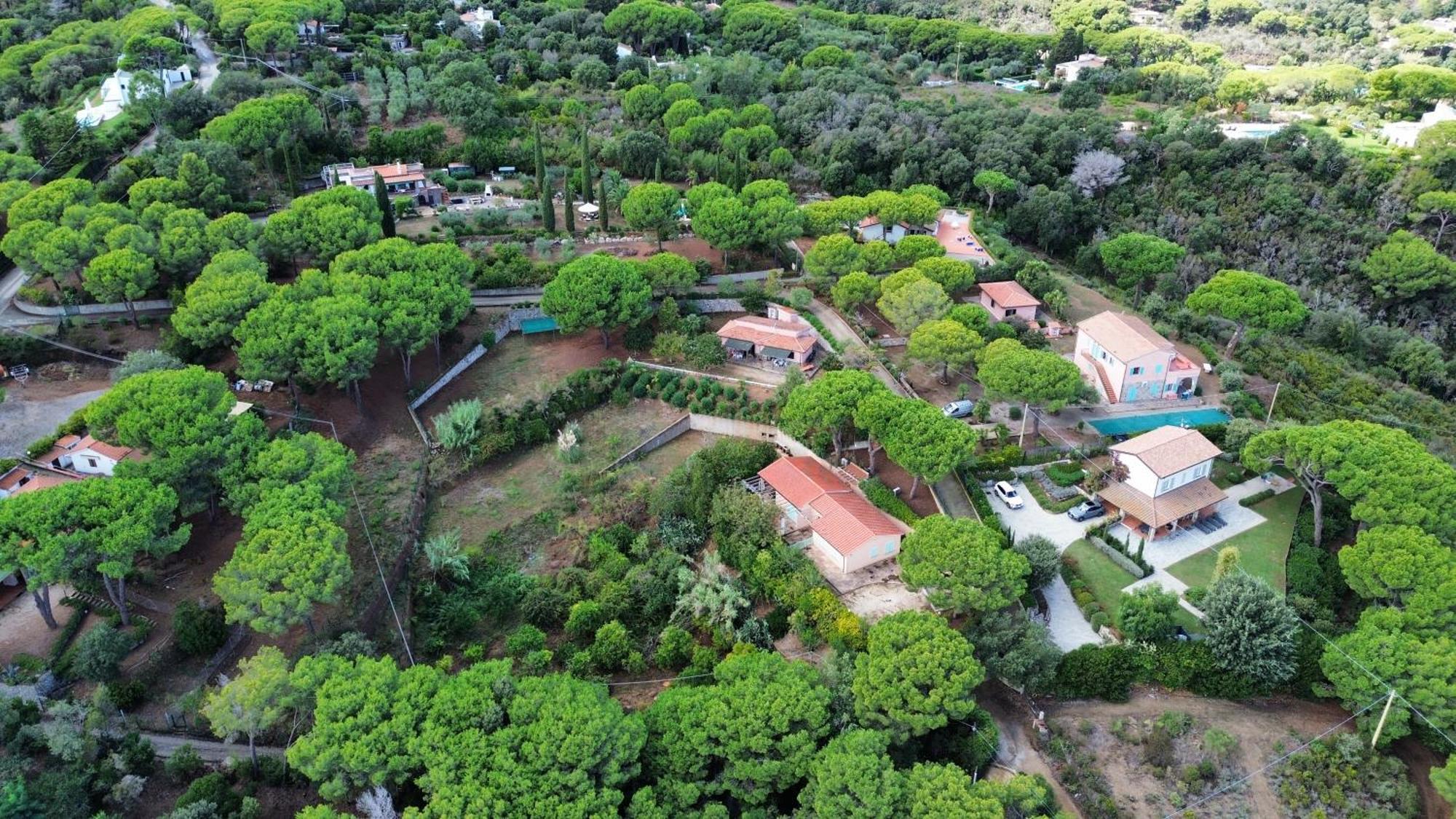 Apartment Casale La Magnolia - Capo Perla Capoliveri (Isola d'Elba)